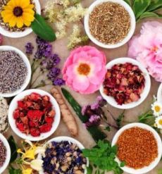 دوره آموزشی اصلاح سبک زندگی (طب سنتی)