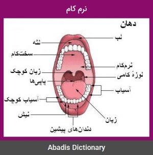 کام دهان