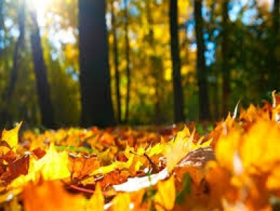 تدابیر فصل سرما(پاییز)