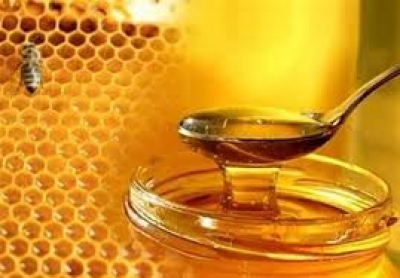 خواص درمانی عسل آویشن